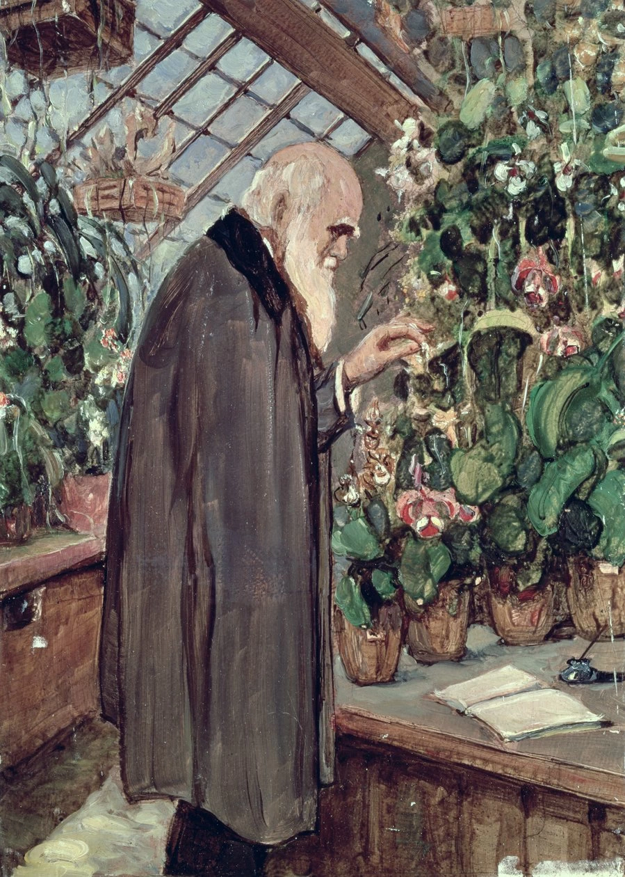 John Collier - Ritratto di Charles Robert Darwin